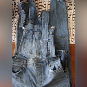 Free People Lexden Denim Overall